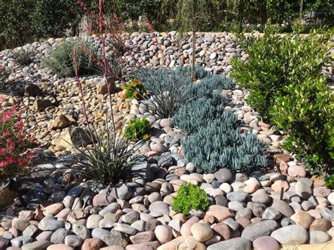  Xeriscape Gardening: The Revolution in Water-Wise Landscaping! – Discover Innovative Techniques for Thriving Gardens with Minimal Water Consumption